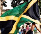 Jamaika, bayrak sarı çapraz ve dört üçgen alanı, iki siyah ve iki yeşil kurdu